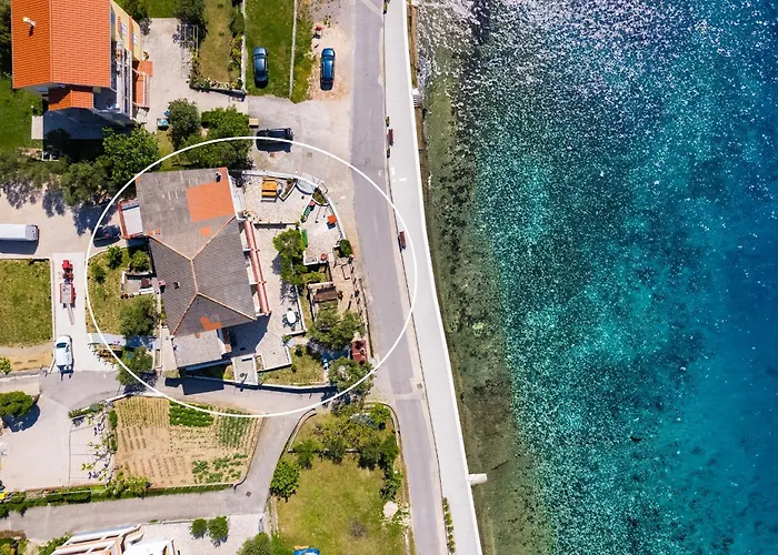 Emily * Кампор